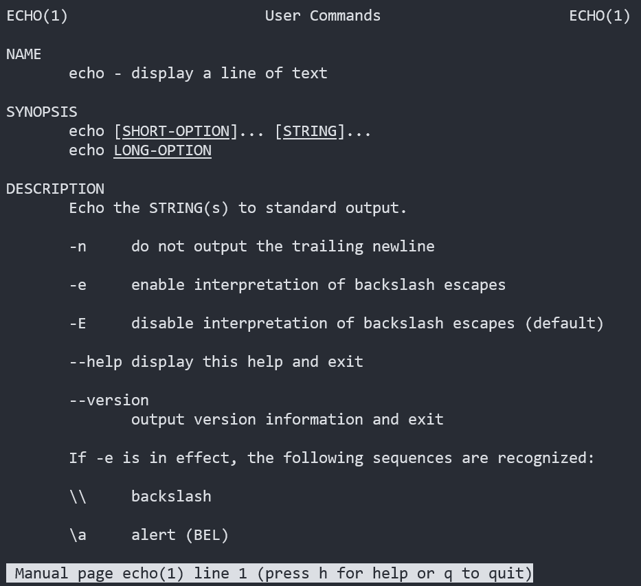 command line output of man echo